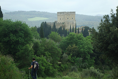 Orcia3